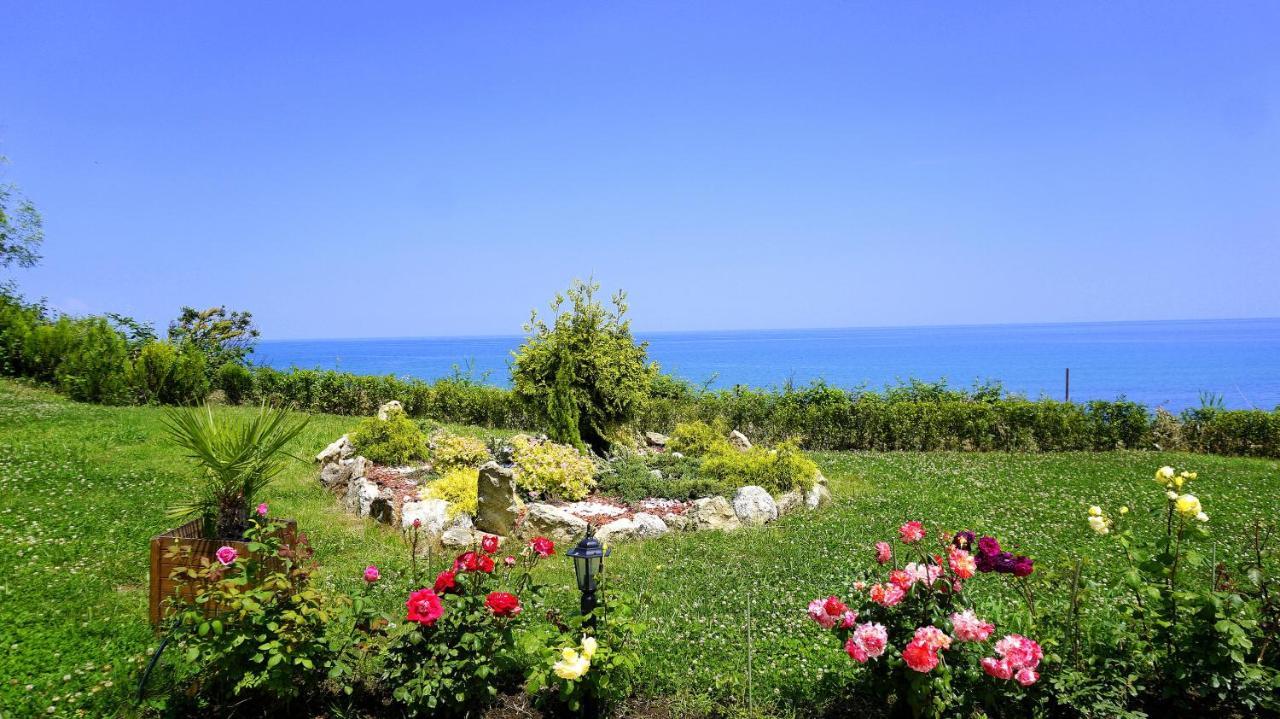 Бяла Клиф Форест - Byala Cliff Forest Exterior foto